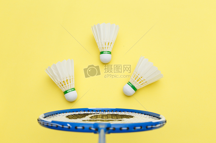 新排名的上 新排名的上