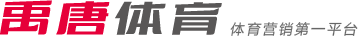 比赛的胜利 比赛的胜利