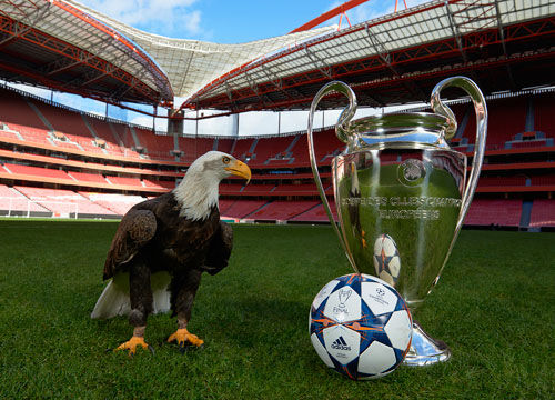 队伍于是调 队伍于是调