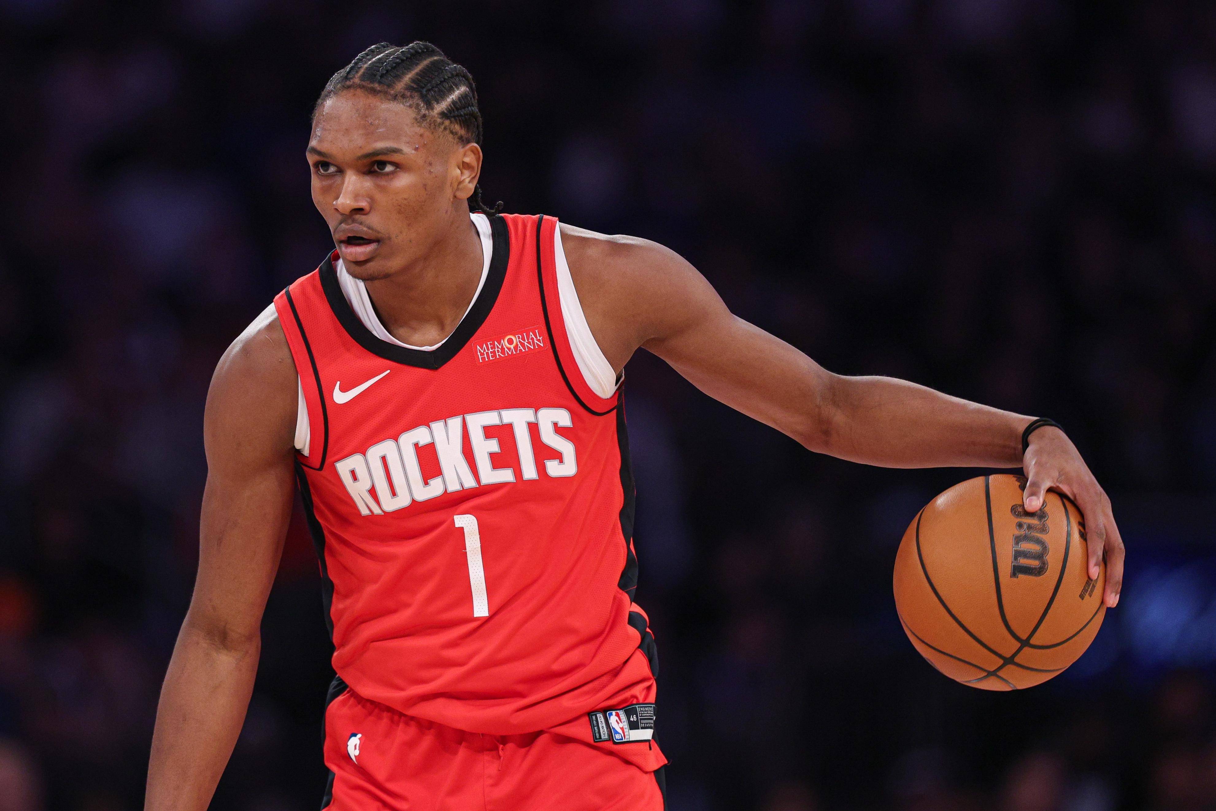 乙水户蜀葵 乙水户蜀葵